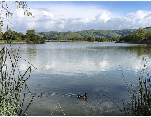 Fremont Investment & Loan