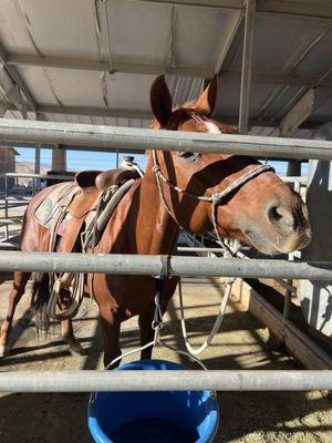 Lajitas Equestrian Center