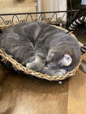 D' Agee & Co. Florist