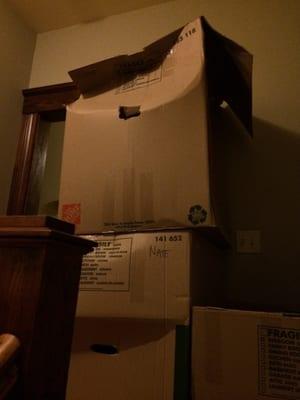 Professional Moving Labor