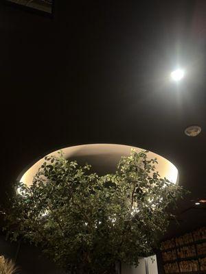 In the dark room 12.11.25