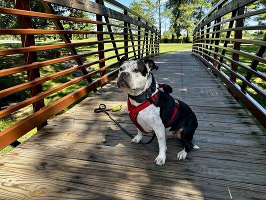 Fort Massac Rest Area