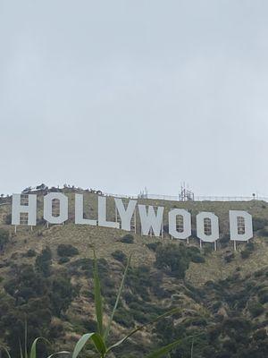 Freddy's Frozen Custard & Steakburgers