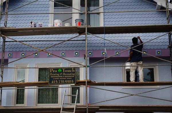 Pro Touch Painting & Decorating