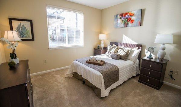 Independence Village of Carmel