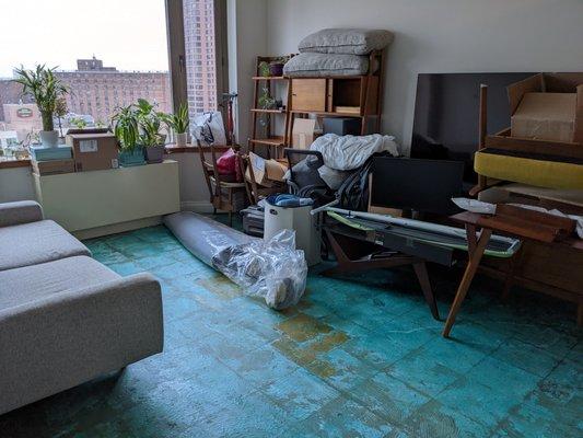 Philly Wood Flooring