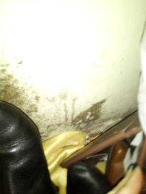 Dogwood Lodge of Radford