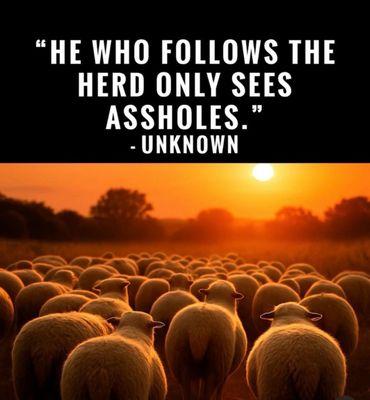 Refers to businesses who jump to conclusions w/out doing their own homework.