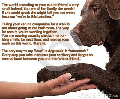 Fur-Ever Friends