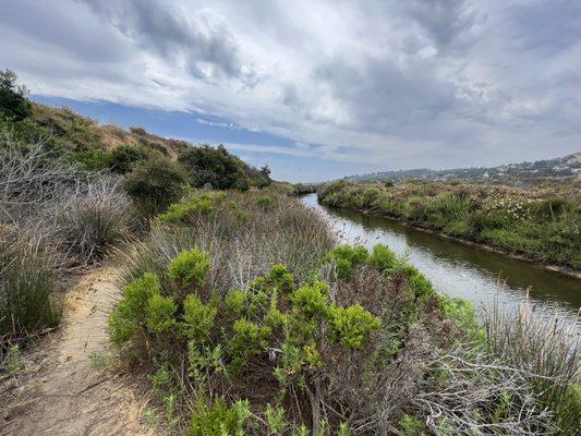 Los Peñasquitos Marsh Natural Preserve And Lagoon Trail