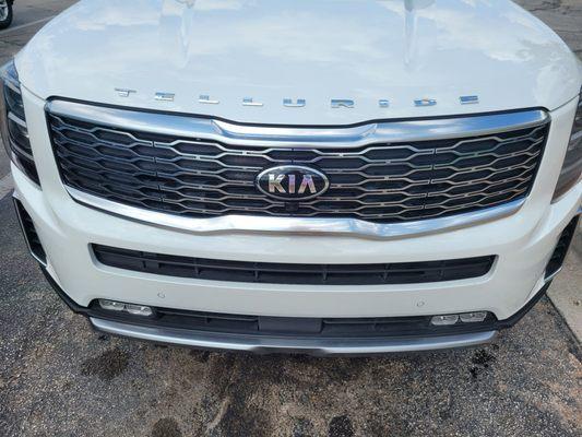 Bugs were cleaned off