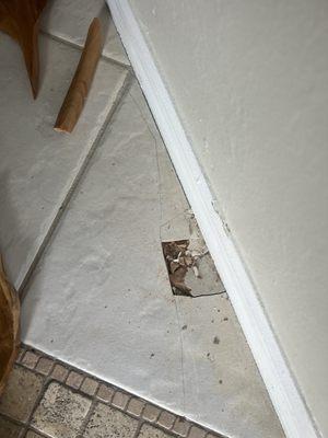 Morgan Exteriors of Fort Myers