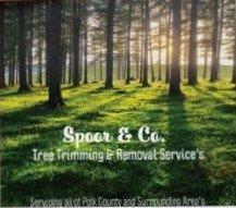 Spoors Tree Services