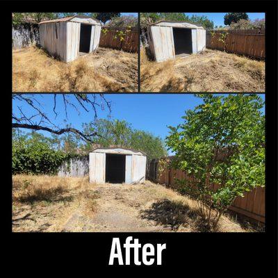 Thrashers Junk Removal