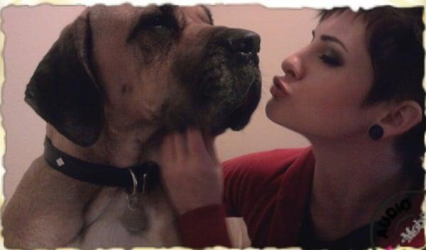 Canine Comprehensive