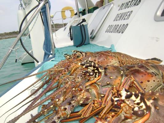 Cruzan Yacht Charters