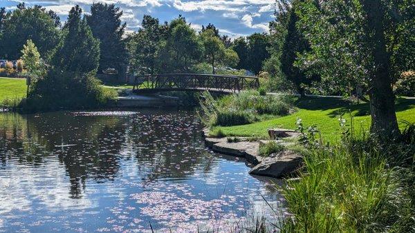 William McKinley Carson Park