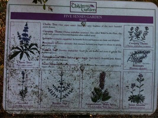 The Children's Garden at Linky Stone Park