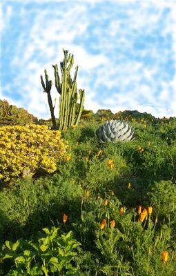 Living Symmetry Counseling