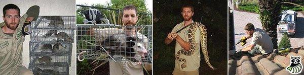 Palestine Wildlife Removal