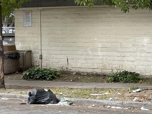 Trash on the street