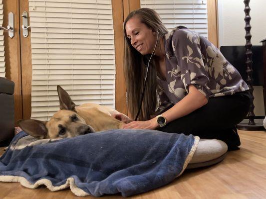 Integrative Home Veterinary Services