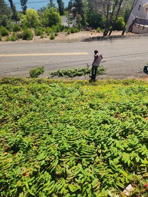 J C & R C Lawn & Yard Maintenance