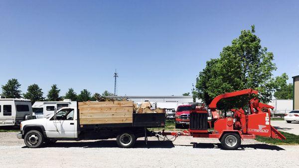 A to Z Trees and More