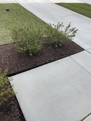 Ground Control Lawn Care