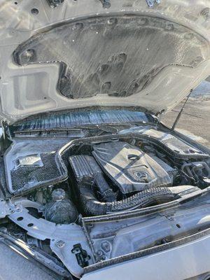 Prestige Car Detailing