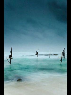 David's Fishing Lodge