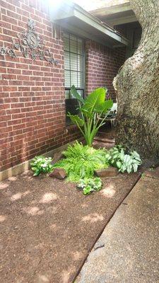 Revive Lawn and Garden Design