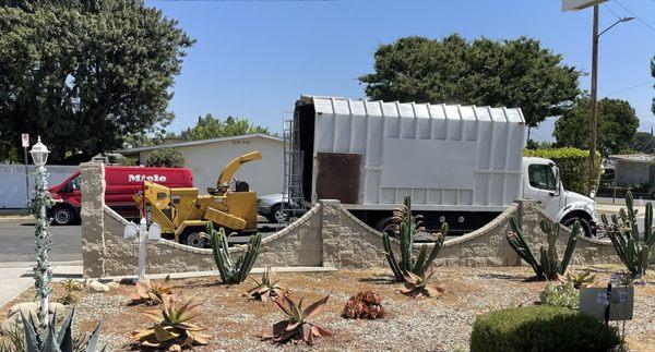 Jesus Acevedo's Tree Service & Landscaping