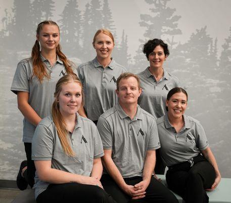 Alpine Cleaning Company