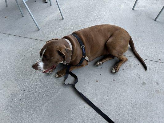 Sipping Grounds Downtown