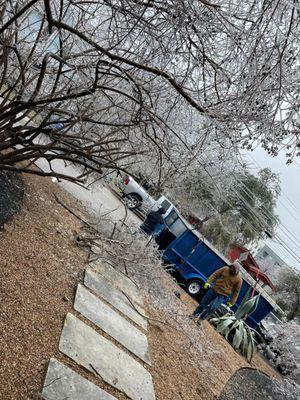 AJ’s Tree Service N More