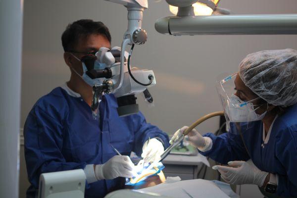 Dynamic Endodontics