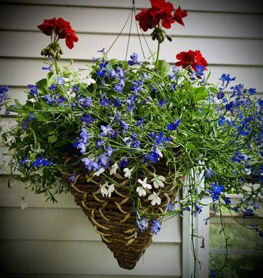 Local Roots Greenhouse