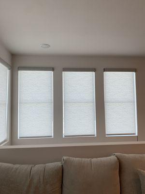 DLC Window Coverings