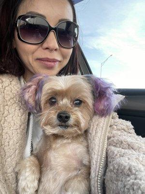 Healthy Pet Wellness Center