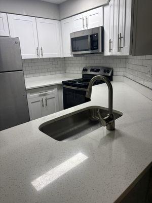 The kitchen fridge has ice maker, there is a dishwasher, beautiful countertops, good lighting