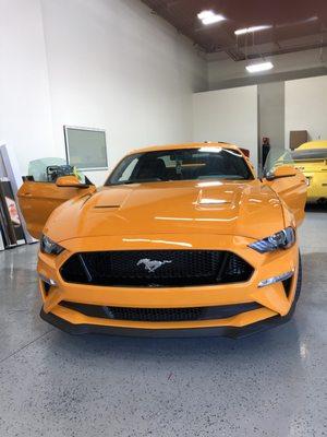 Pacific Audio & Tint