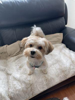 Clean and tidy ready for fun.