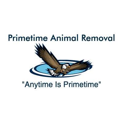 Primetime Animal Removal