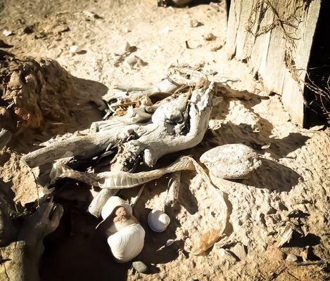 St. Thomas Site Loop Trail