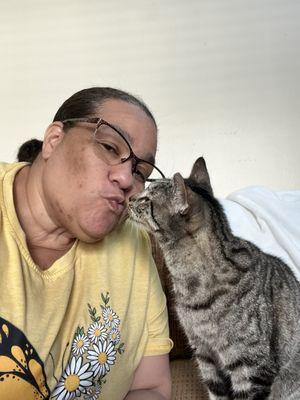 Animal ER of NW Houston