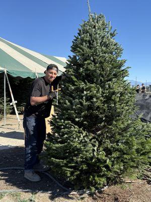 Valley View Christmas Trees