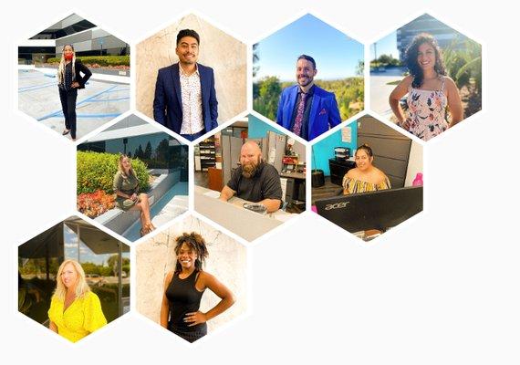 Protego Insurance Services