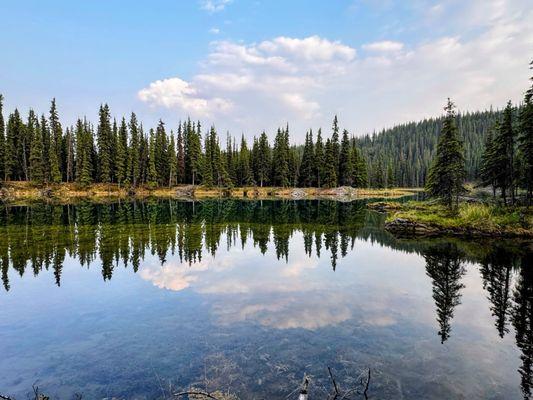 Denali National Park