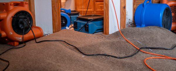 The Restoration Team